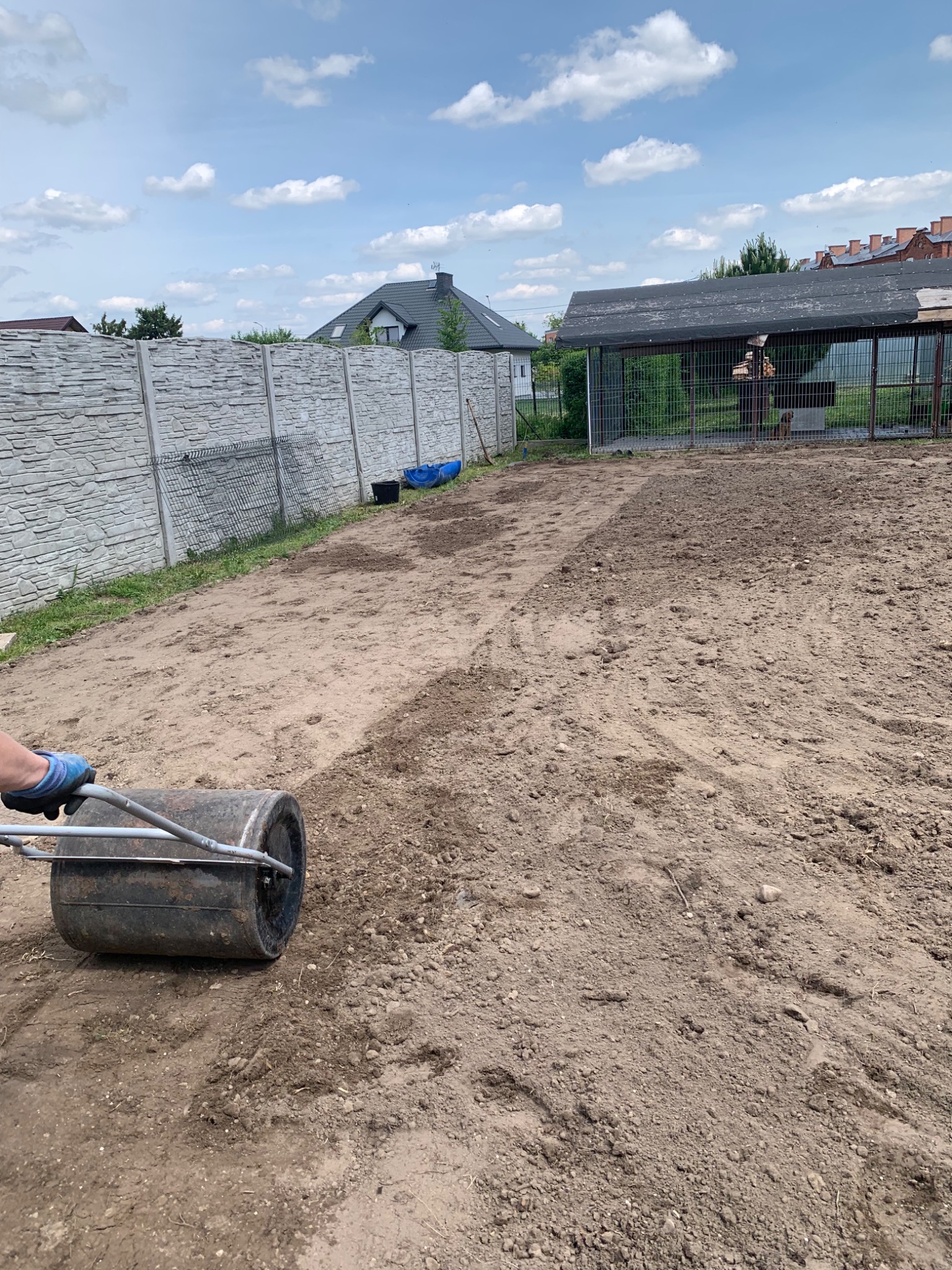 Ubijanie ziemi walcem ogrodowym na przygotowanym terenie pod trawnik, w tle ogrodzenie z betonowych płyt i budynek gospodarczy.