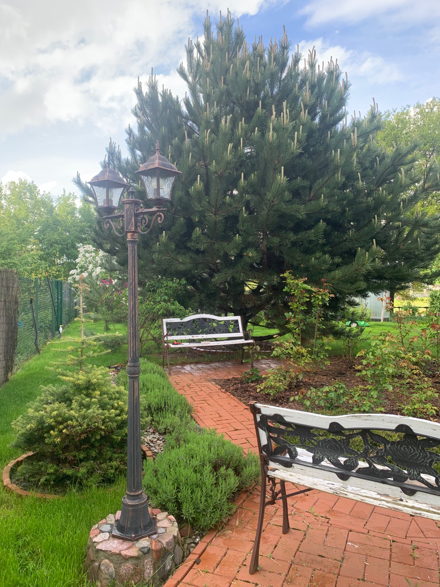 Ogród z ścieżką z czerwonej cegły, stylizowaną latarnią, sosną i dwiema białymi ławkami z metalowymi zdobieniami w tle.