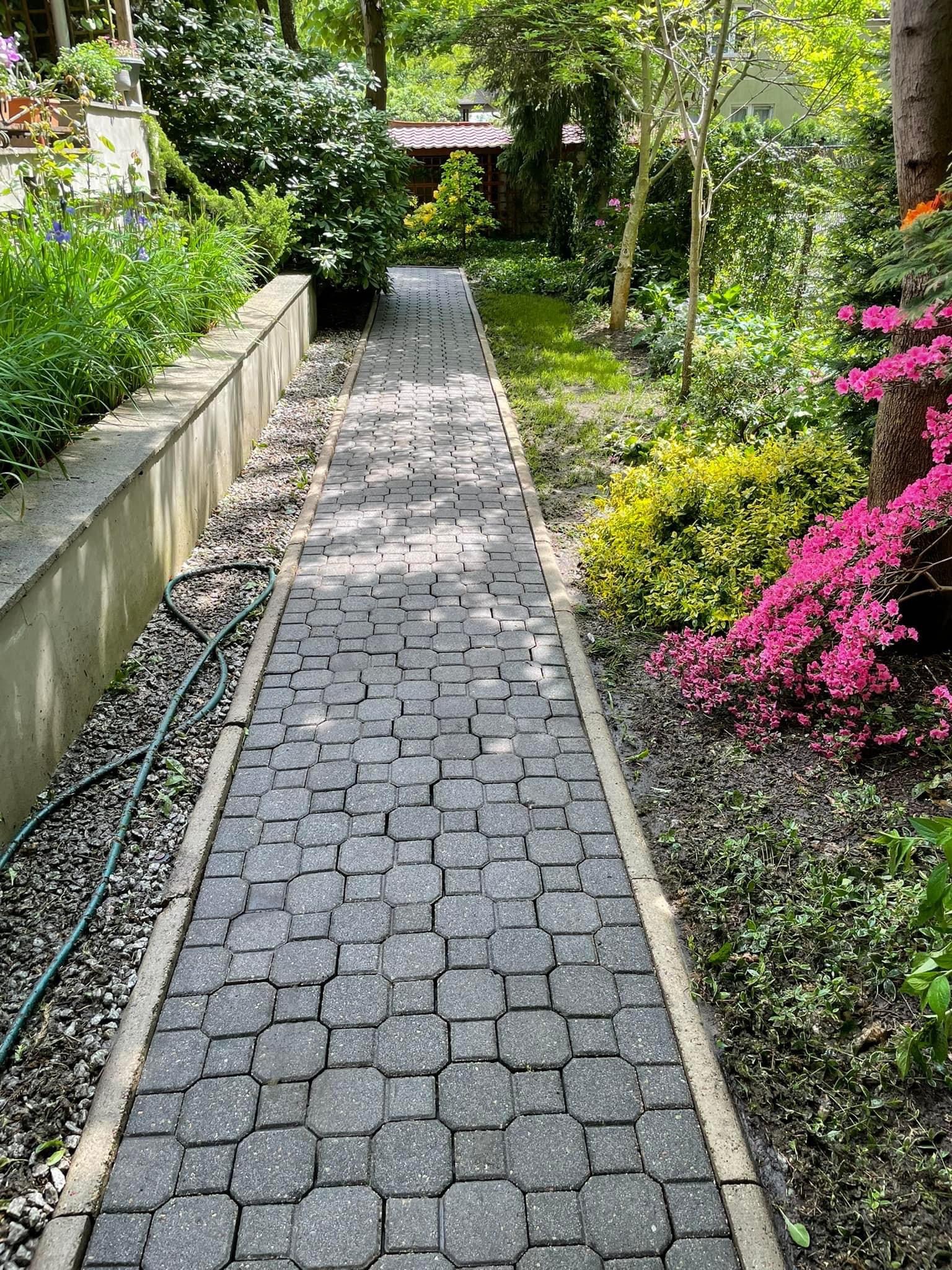 Szary chodnik z kostki brukowej prowadzący przez zadbany ogród z kwitnącymi azaliami i trawami ozdobnymi, z widocznym wężem ogrodowym wzdłuż murku.