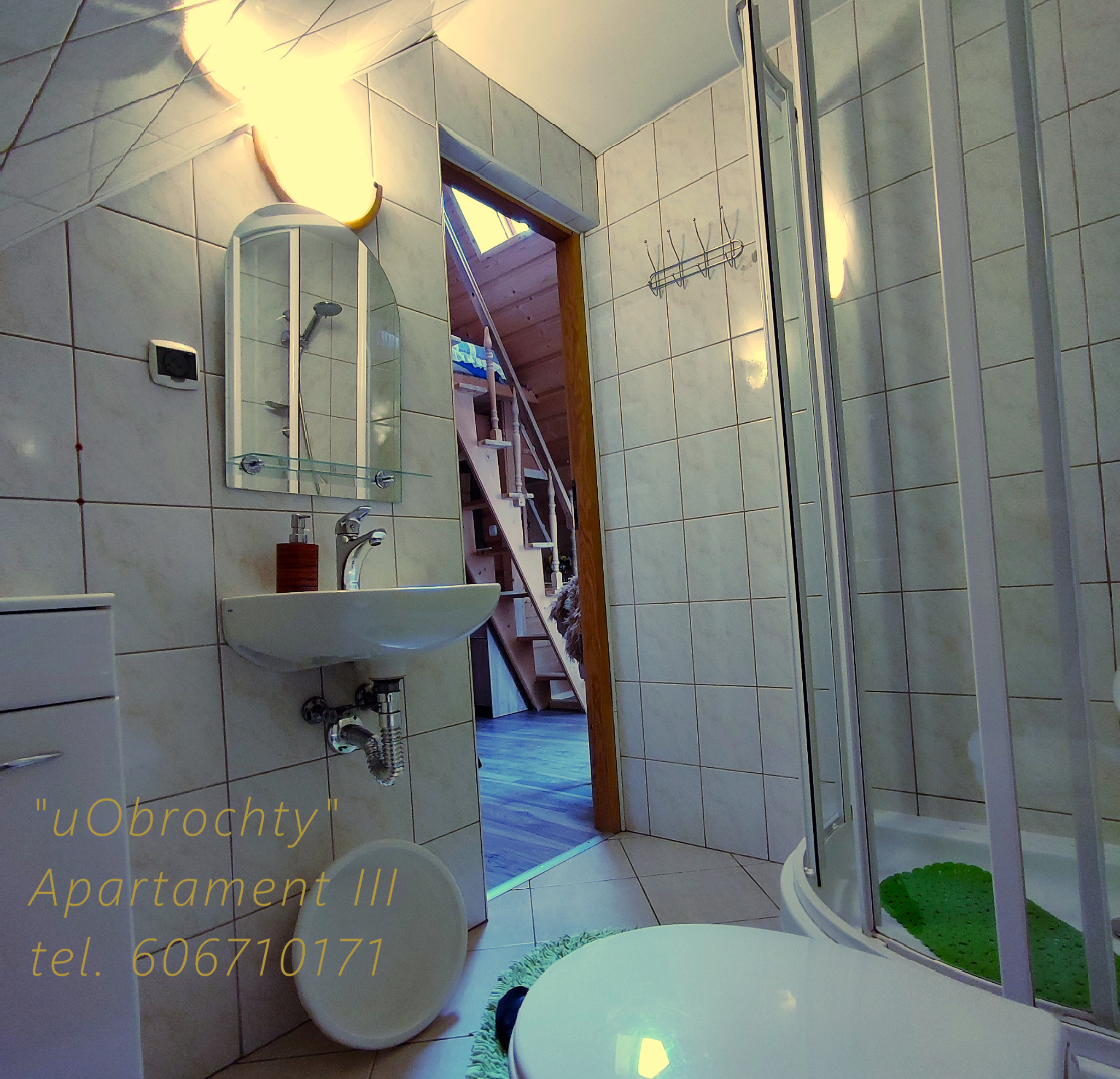 Wnętrze łazienki w apartamencie z kabiną prysznicową, umywalką z szafką, lustrem i widokiem na drewniane schody prowadzące na antresolę.