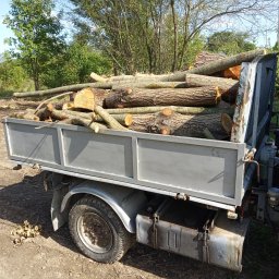 Amar-Pud - Wycinka i od razu w wóz drewna z miejsca pracy. Amar-Pud