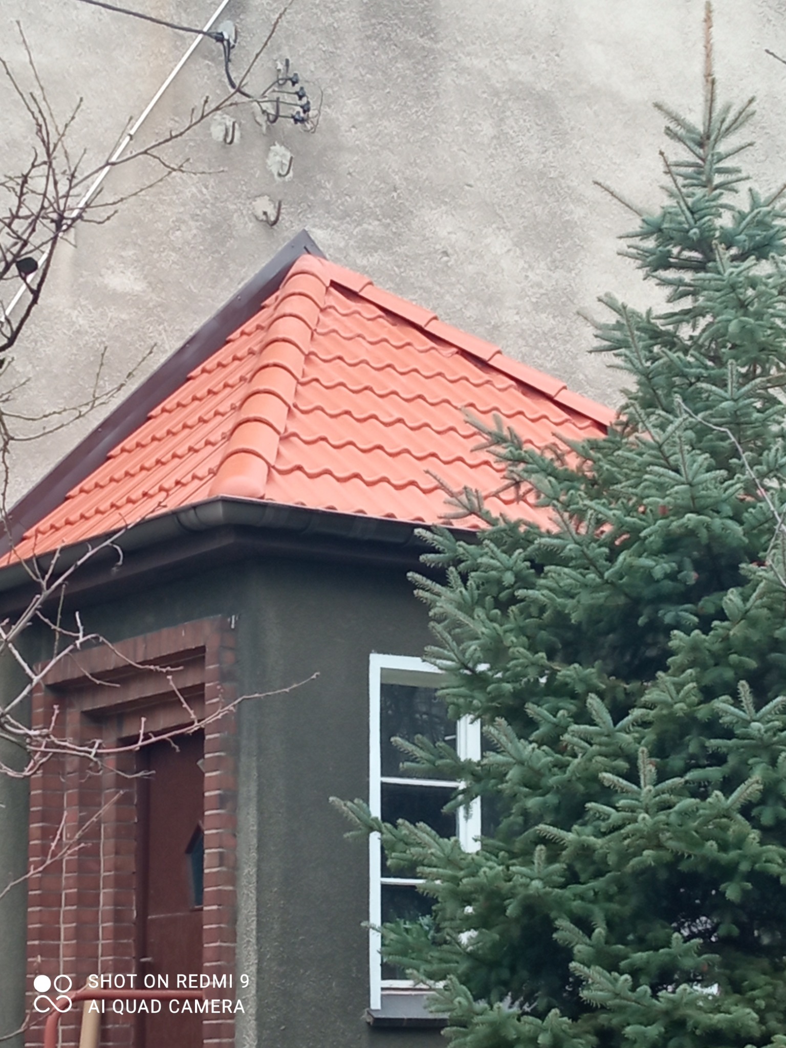 Fragment domu we Wrocławiu z nowym, czerwonym dachem krytym dachówką ceramiczną, widoczny zza iglastego drzewa.