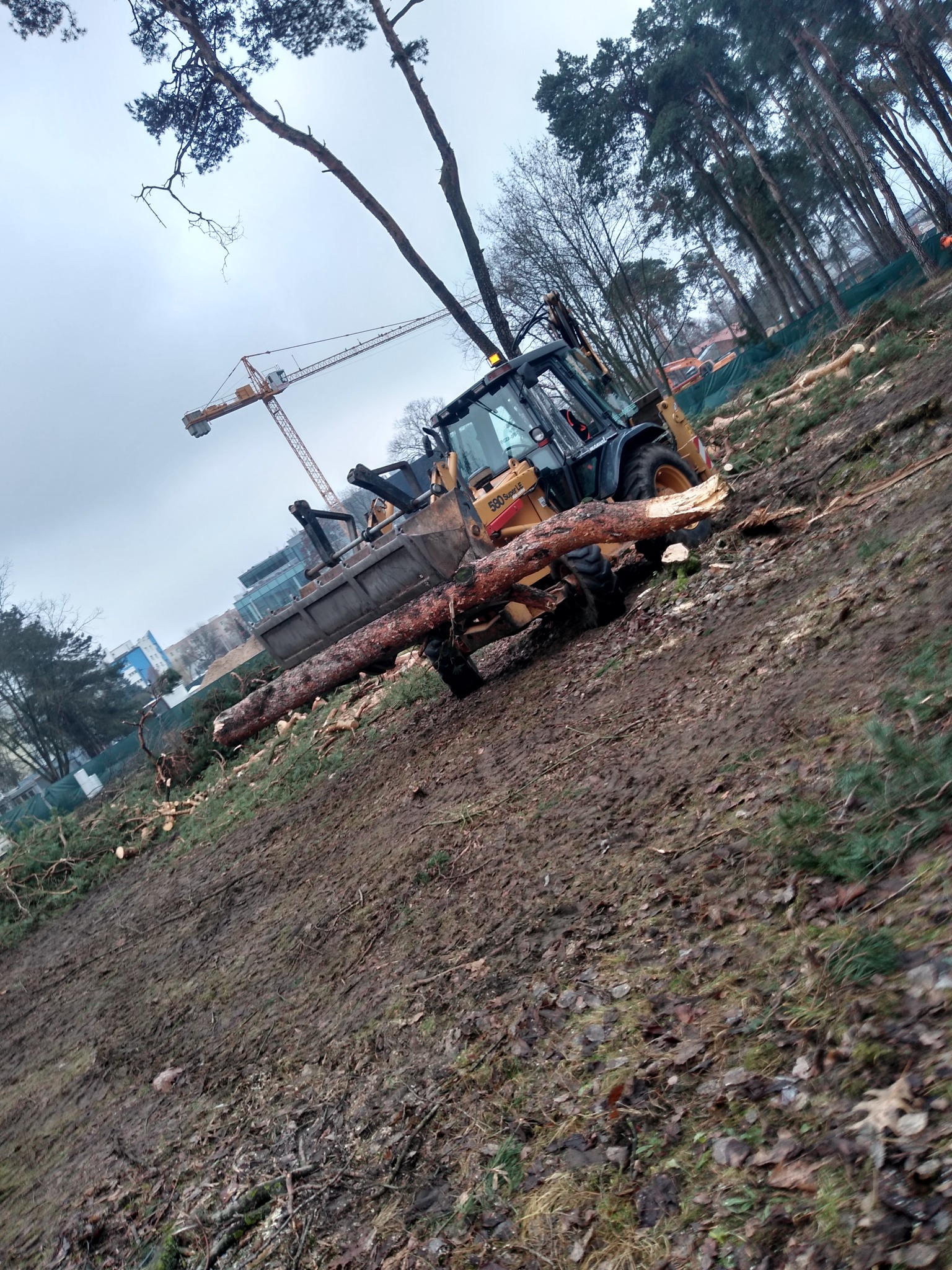 Żółta ładowarka teleskopowa 580 Super LE transportuje ścięte drzewo na terenie budowy, w tle widoczny żuraw budowlany i budynki.