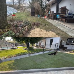 MARRI Sp.z.o.o - Zdjęcie 'przed i po' ukazujące metamorfozę ogrodu: zaniedbany teren z liśćmi i piaskiem kontra zadbany trawnik z ogrodzeniem i kostką brukową. W tle dom i basen.