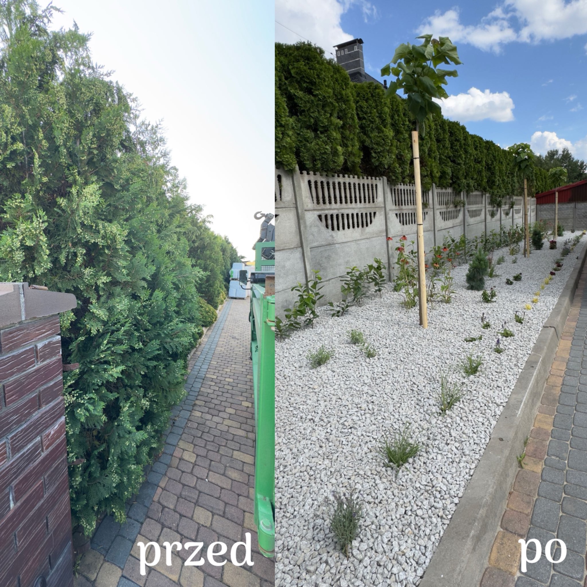 Zdjęcie 'przed i po' ukazuje metamorfozę ogrodu: zarośnięty żywopłot ustępuje miejsca nowym nasadzeniom, białemu żwirowi i młodym drzewkom wzdłuż chodnika z kostki.