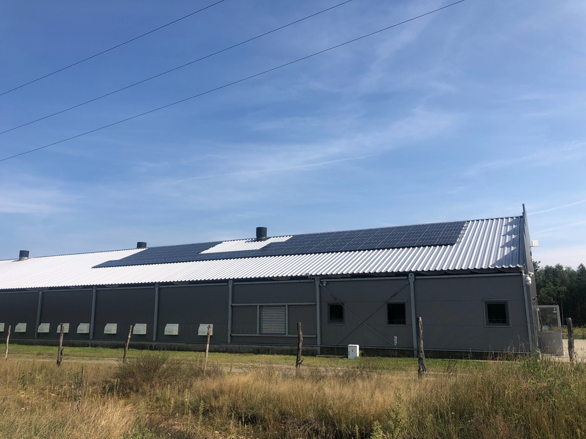 Duży budynek przemysłowy z szarej blachy trapezowej, na dachu panele słoneczne, widoczne wysokie, suche trawy na pierwszym planie.
