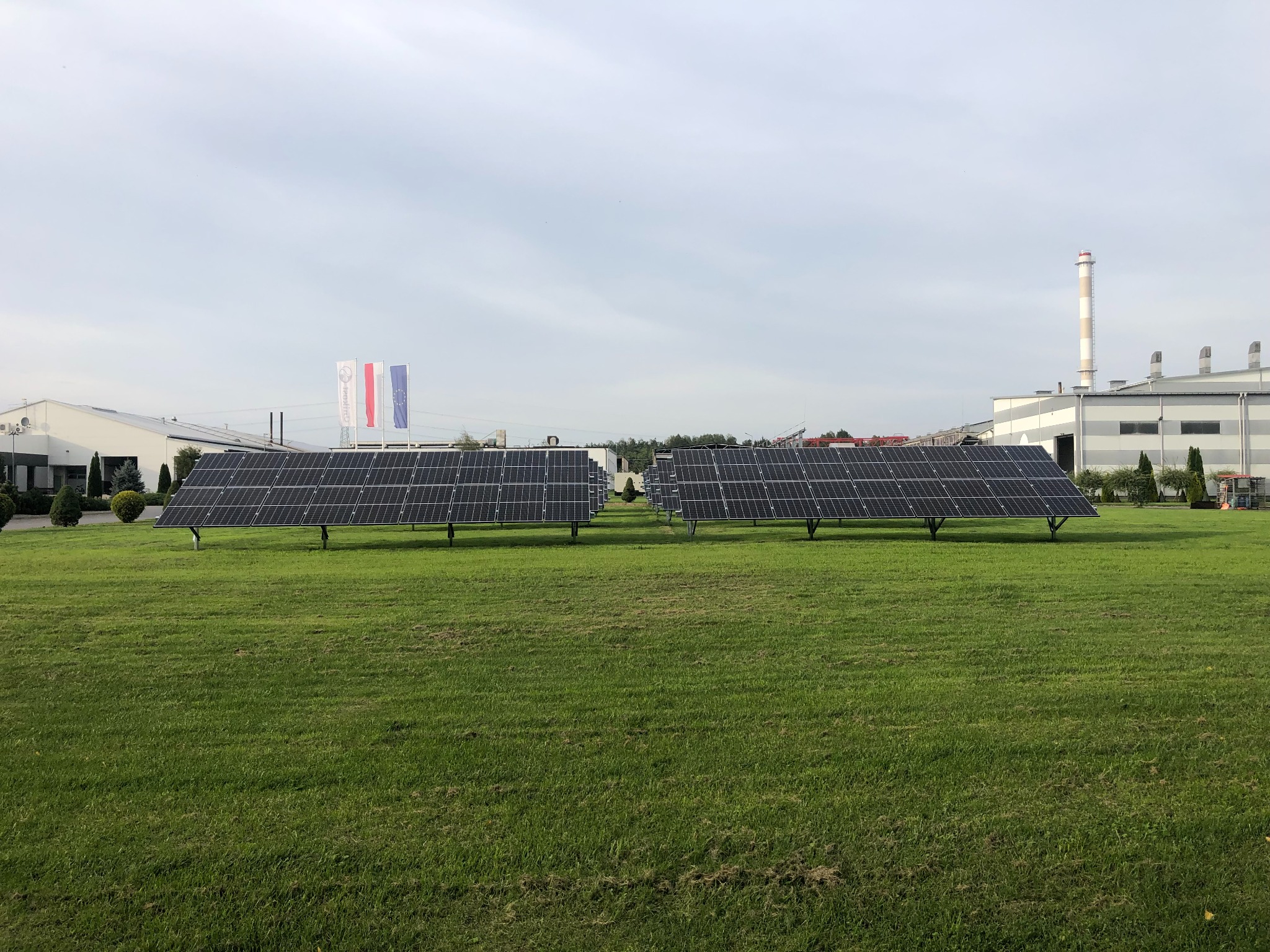 Dwa rzędy paneli słonecznych na zielonym trawniku, w tle budynki przemysłowe i maszt z flagami.