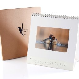 ANS Group Spółka z ograniczona odpowidzialnością - Kalendarz biurkowy z fotografią kaczek na wodzie, obok pudełko z logo ptaka i napisem 'Maciej Fiszer Ulotne 2015'.