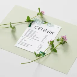 Minimalistyczny cennik usług manicure i stylizacji paznokci z elementami botanicznymi: kwiaty koniczyny na białym i pastelowo zielonym tle.