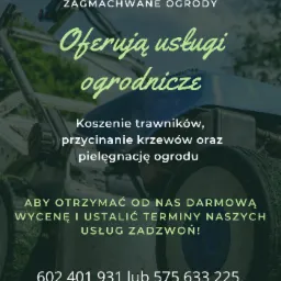 Reklama usług ogrodniczych: kosiarka na tle trawy, oferta koszenia trawnik&oacute;w, przycinania krzew&oacute;w i pielęgnacji ogrodu, logo firmy Zagmachwane Ogrody, numery telefon&oacute;w kontaktowych.