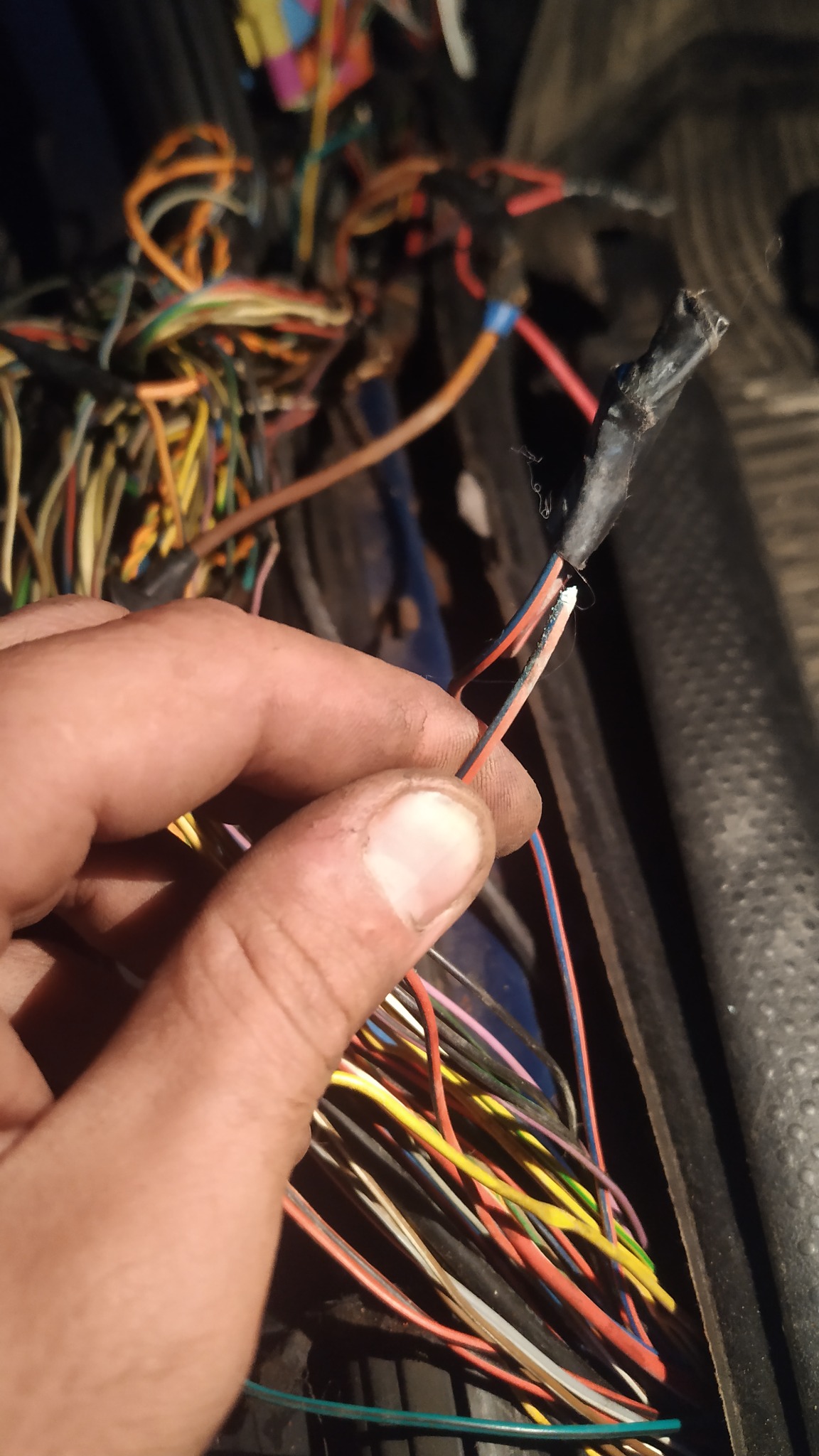 Naprawa elektryki VW