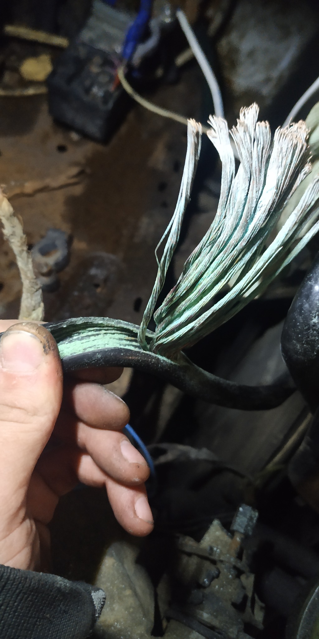 Uszkodzony kabel elektryczny samochodowy z zielonym nalotem, trzymany w brudnej dłoni na tle silnika.