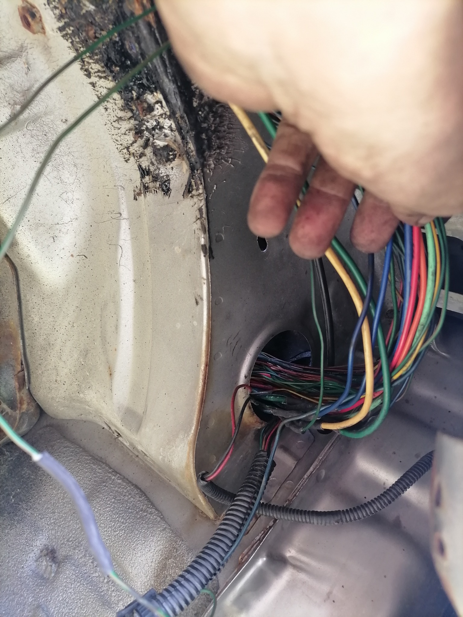 Dłoń trzyma wiązkę kolorowych kabli w komorze silnika, widoczne złącza i elementy instalacji elektrycznej pojazdu.