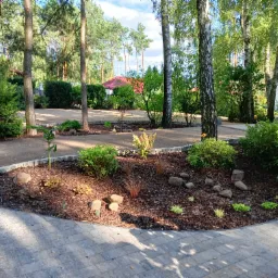 Kaskada roślin i kamieni ozdobnych na rabacie wyłożonej korą, obrzeże z kostki brukowej, w tle drzewa iglaste i liściaste oraz zabudowania.