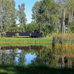 Długi szereg paneli słonecznych nad brzegiem stawu, odbicie drzew i nieba w wodzie, trzciny na pierwszym planie.