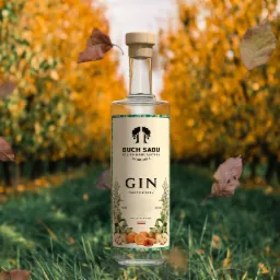 Butelka ginu Duch Sadu na tle jesiennego sadu z opadającymi liśćmi, prezentująca polską manufakturę alkoholi.