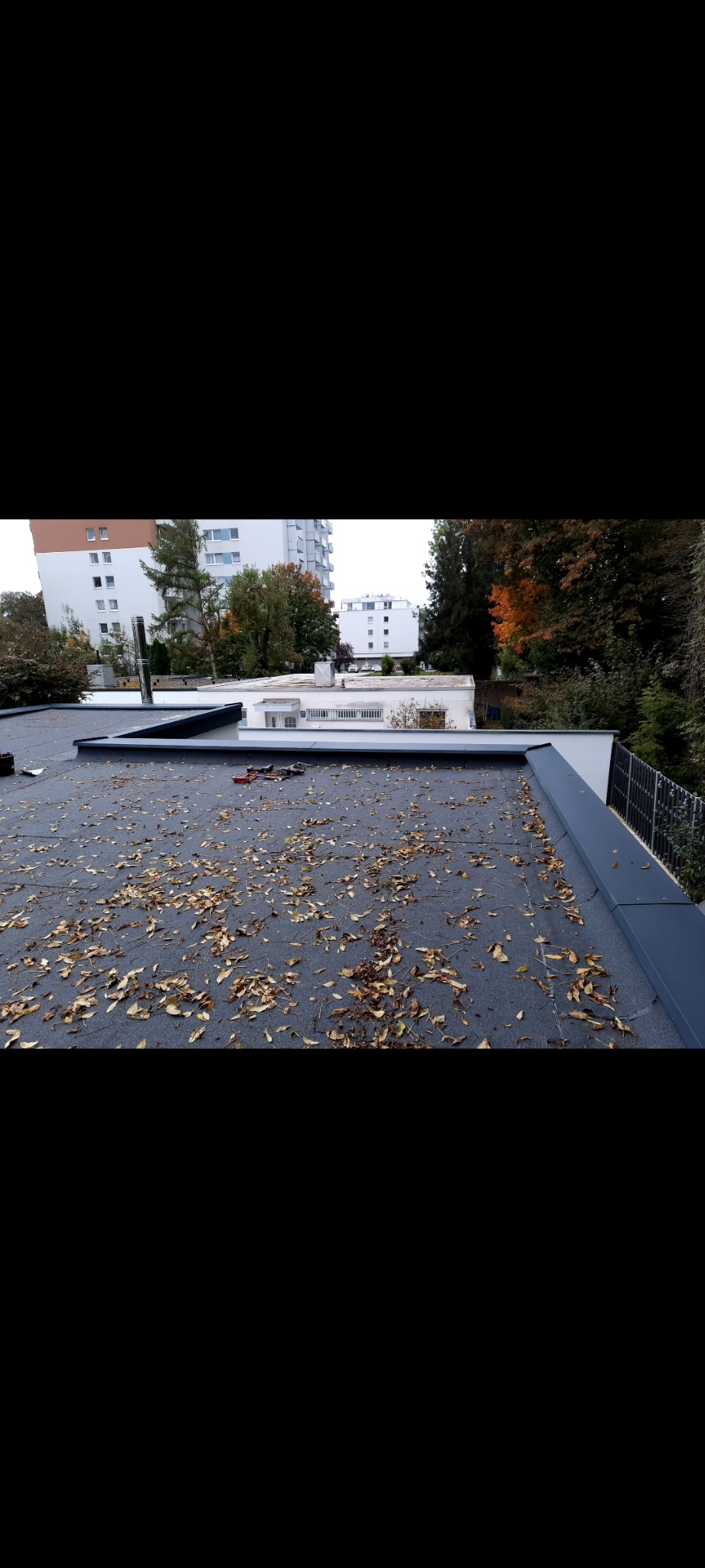 Widok z góry na płaski dach pokryty papą, z rozsypanymi suchymi liśćmi, w tle budynki mieszkalne i drzewa.