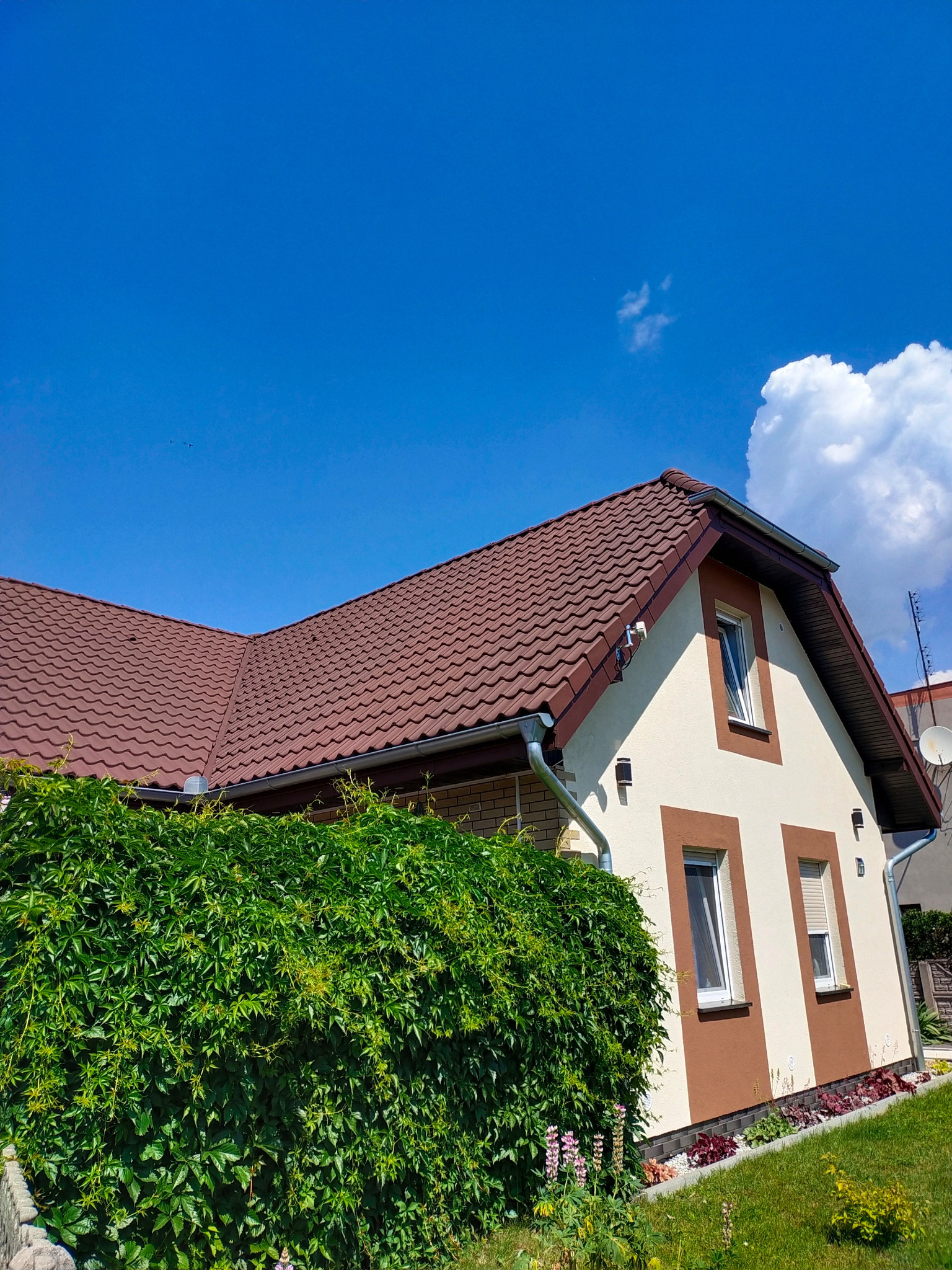 Dom jednorodzinny z brązowym dachem z dachówki ceramicznej, jasną elewacją z brązowymi akcentami wokół okien, widoczne rynny, antena satelitarna i bujna zielona roślinność w ogrodzie