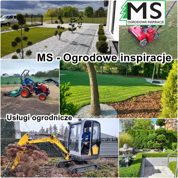 Kompozycja zdjęć: zadbany trawnik z ozdobnymi drzewkami, ścieżka z jasnego kamienia, maszyna do trawy z logo, świeżo posiana trawa wokół drzewa, mini koparka przy krzewach, formowane krzewy...