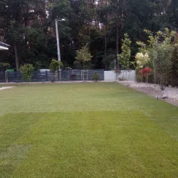 Utrzymany w idealnym stanie trawnik z systemem nawadniania, otoczony ozdobnymi drzewami i krzewami, widok na nowoczesny dom i las w tle.