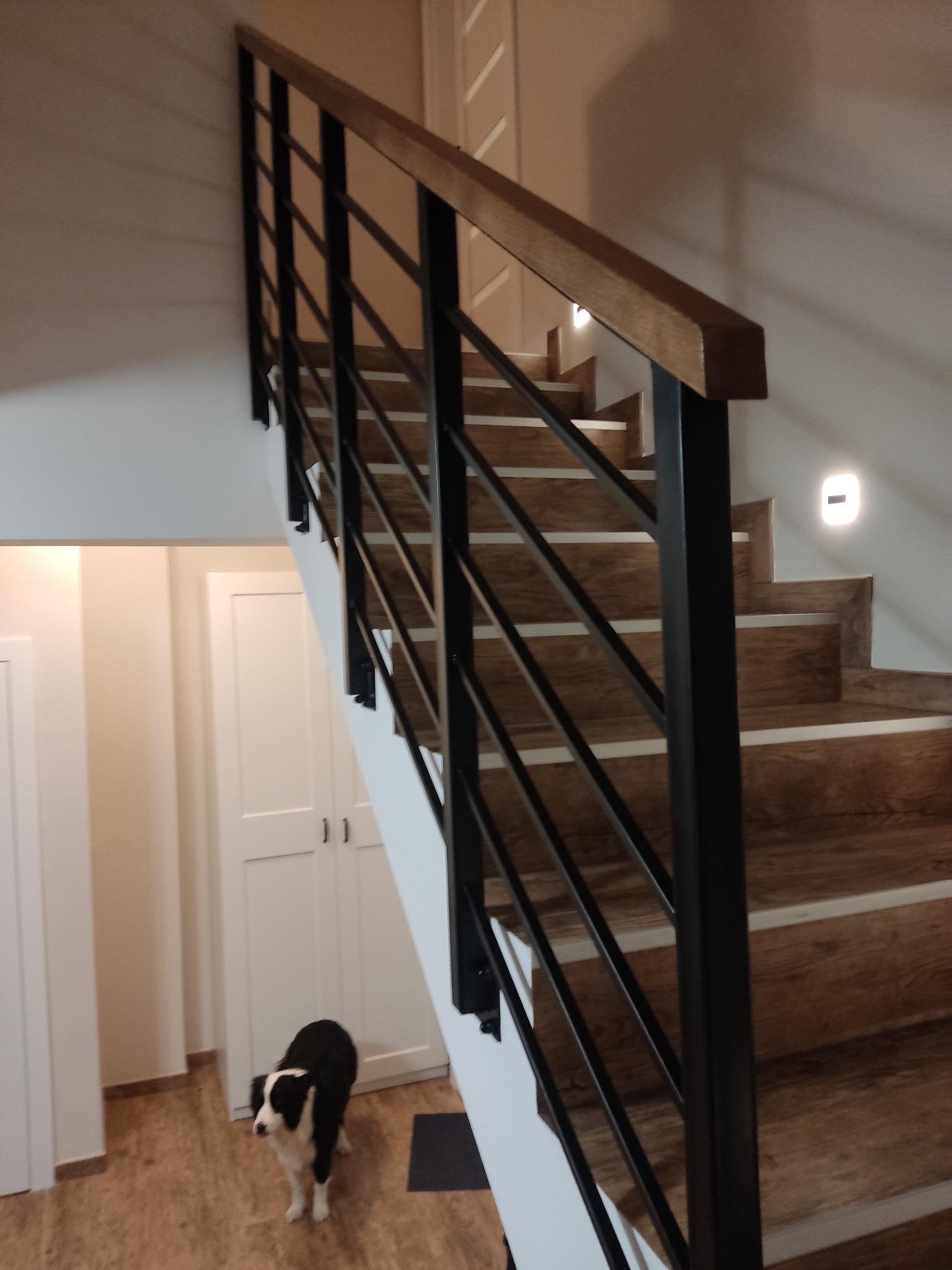 Drewniane schody z czarną metalową balustradą i drewnianym poręczą, oświetlone małymi lampkami LED, z psem rasy border collie w tle.