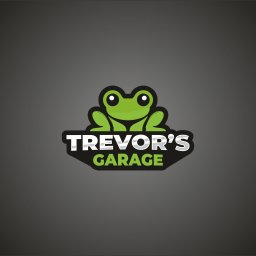 Trevor's Garage - Mechanik Radom