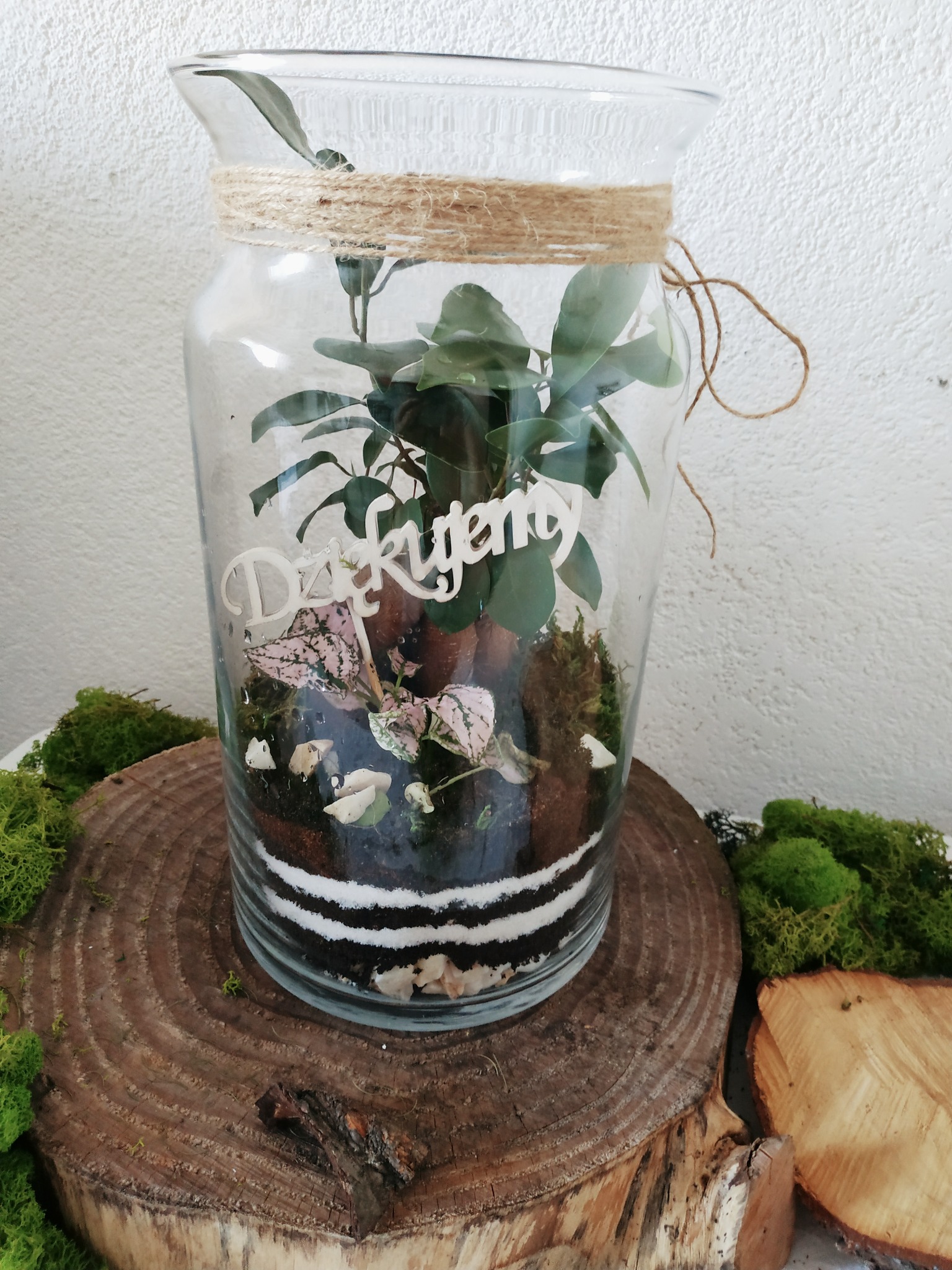 Szklany słój z warstwami ziemi, kamieni i roślin, udekorowany jutowym sznurkiem i napisem, umieszczony na drewnianym plastrze otoczonym mchem.