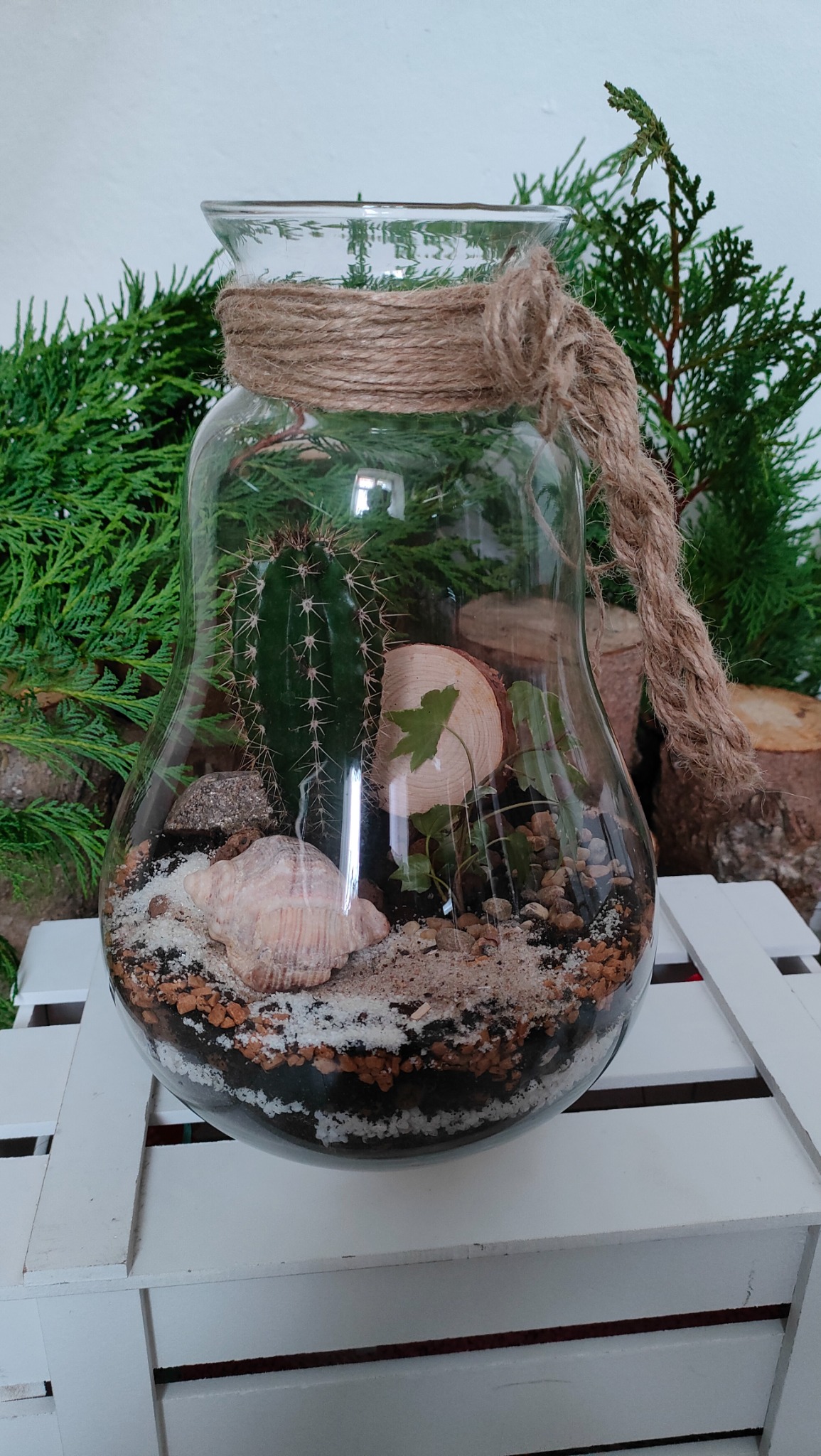 Szklany słój z kaktusem, muszlą i drewnianym krążkiem, przewiązany sznurkiem jutowym, na tle zielonych gałązek.