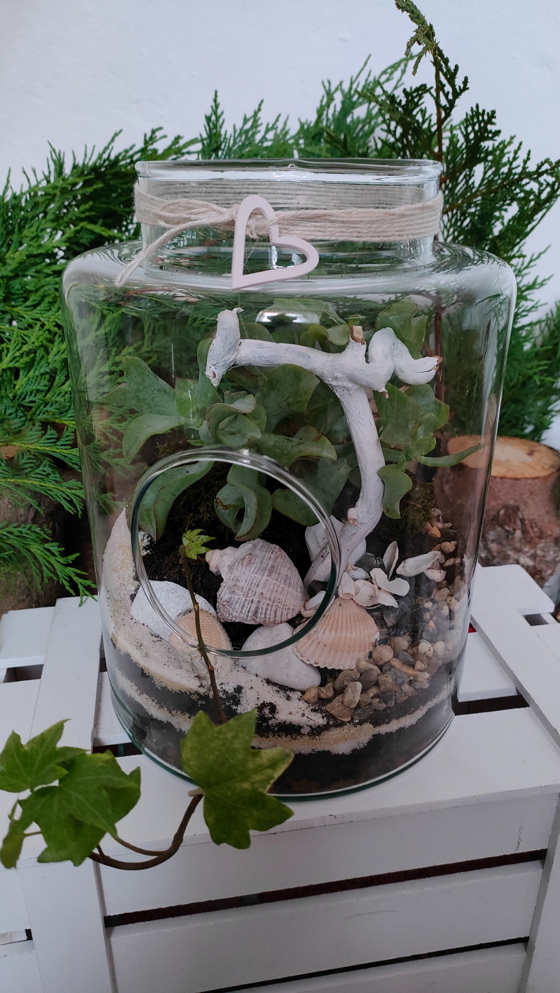 Szklany słój z warstwami piasku, ziemi, kamyków i muszelek, zawierający sukulenty i małą gałązkę pomalowaną na biało, udekorowany sznurkiem z drewnianym sercem.