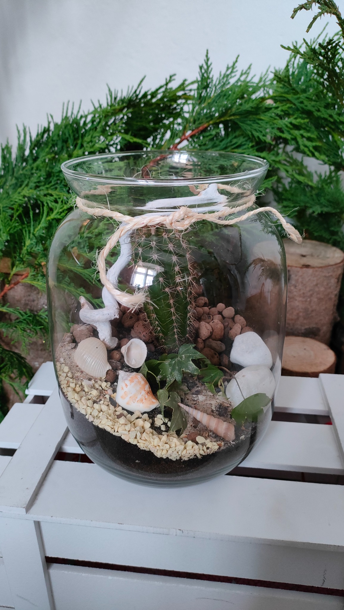 Szklany słój z kompozycją sukulentów, kamieni, muszelek i białego korzenia, przewiązany sznurkiem jutowym, na tle zielonych gałązek i drewnianych pniaków.