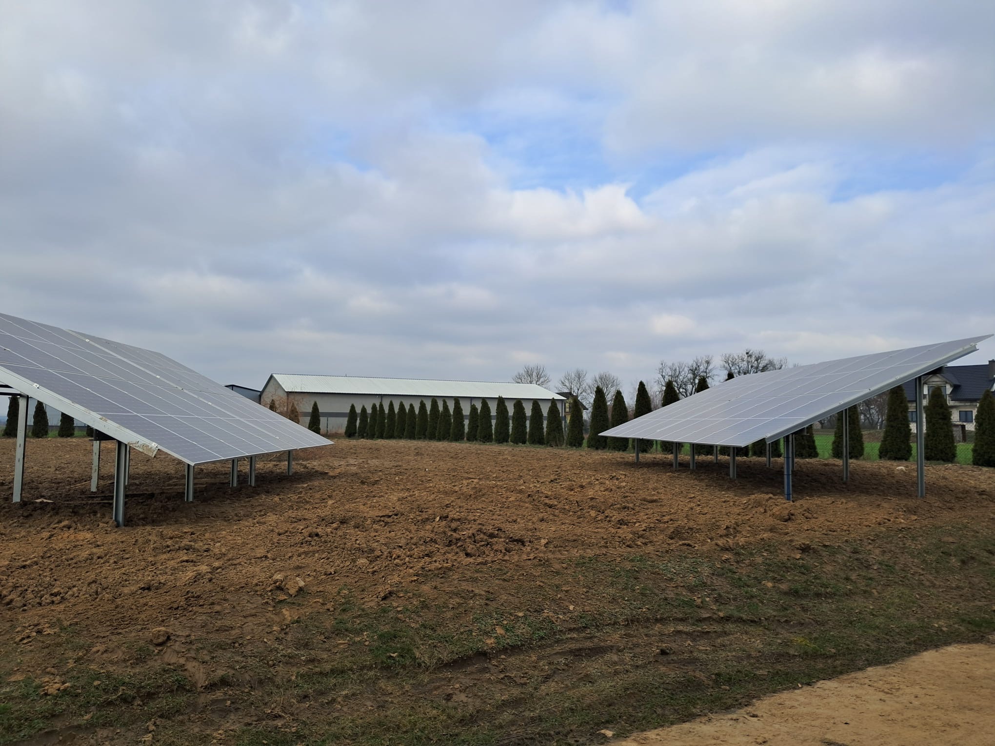 Dwa rzędy paneli słonecznych ustawione na polu z przygotowaną ziemią, w tle budynek gospodarczy i rząd tuj.