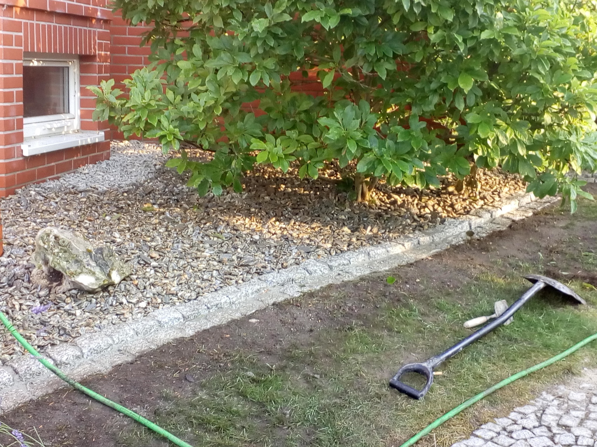 Krawężnik z kostki granitowej oddzielający rabatę z kory i kamieni od trawnika, widoczna szpadel i zielony wąż ogrodowy.