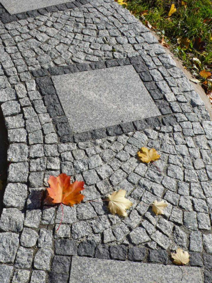 Szara nawierzchnia z kostki granitowej ułożona w geometryczny wzór z kwadratowymi wstawkami, ozdobiona opadłymi liśćmi klonu w jesiennych barwach.