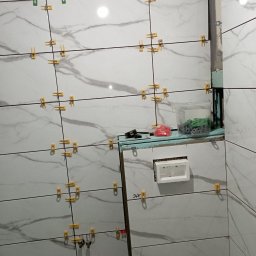 Stanisław Dobrowolski