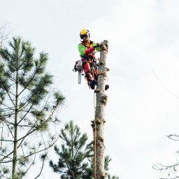 Pielęgnacja ogrodów Warszawa 2