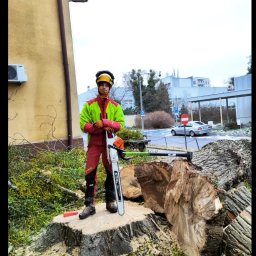 Pielęgnacja ogrodów Warszawa 3