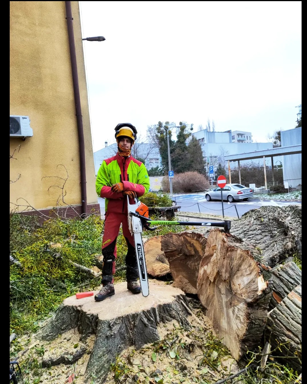 Młody pracownik w kasku i stroju ochronnym stoi na pniu po wyciętym drzewie, trzymając piłę spalinową Stihl, w tle budynek i zaparkowany samochód.