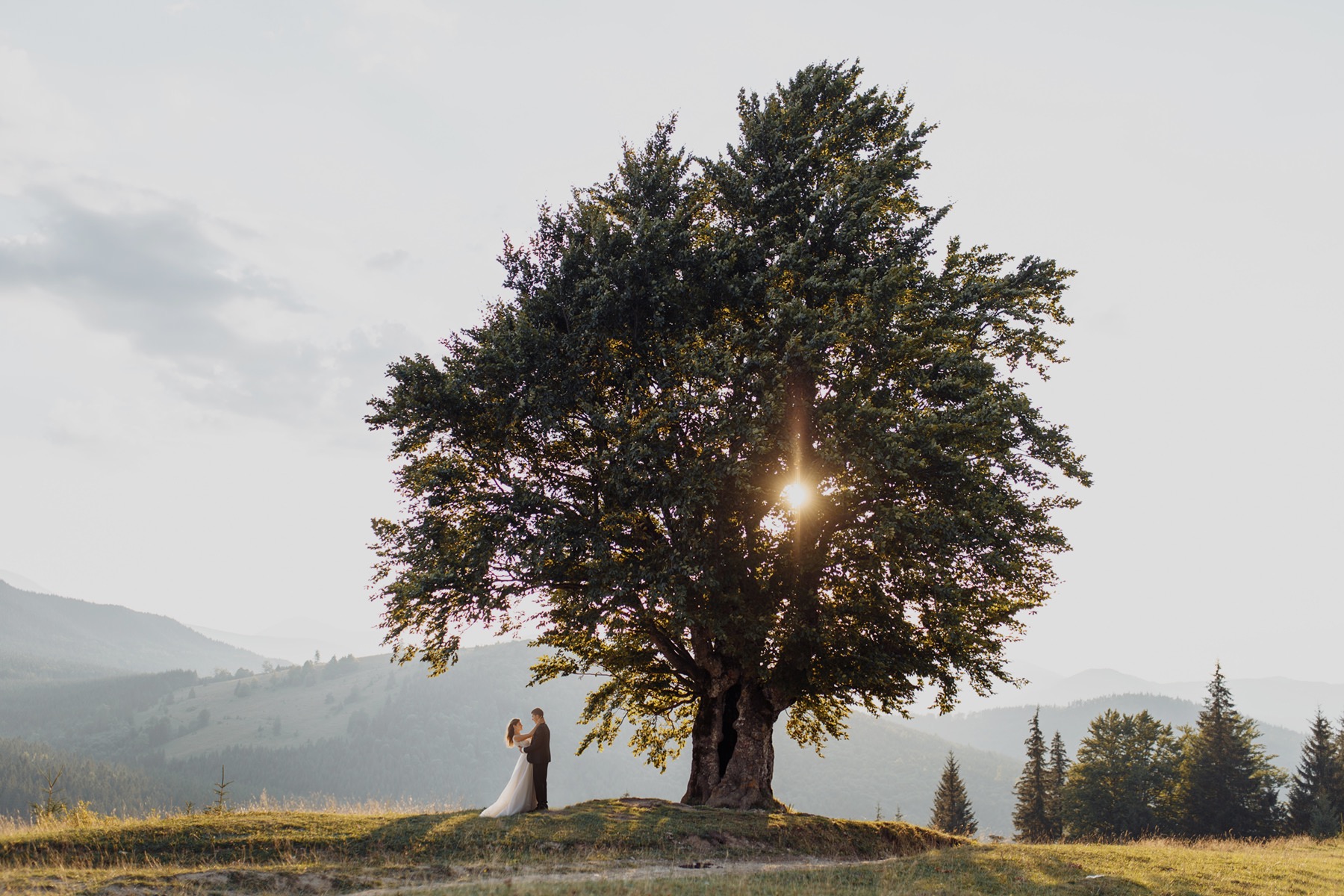 Para młoda obejmuje się pod rozłożystym drzewem na tle górskiego krajobrazu, promienie słońca przebijają się przez liście.