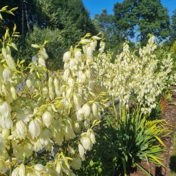 Magdalena Ogrodnik - Planowanie Ogrodu Kraków
