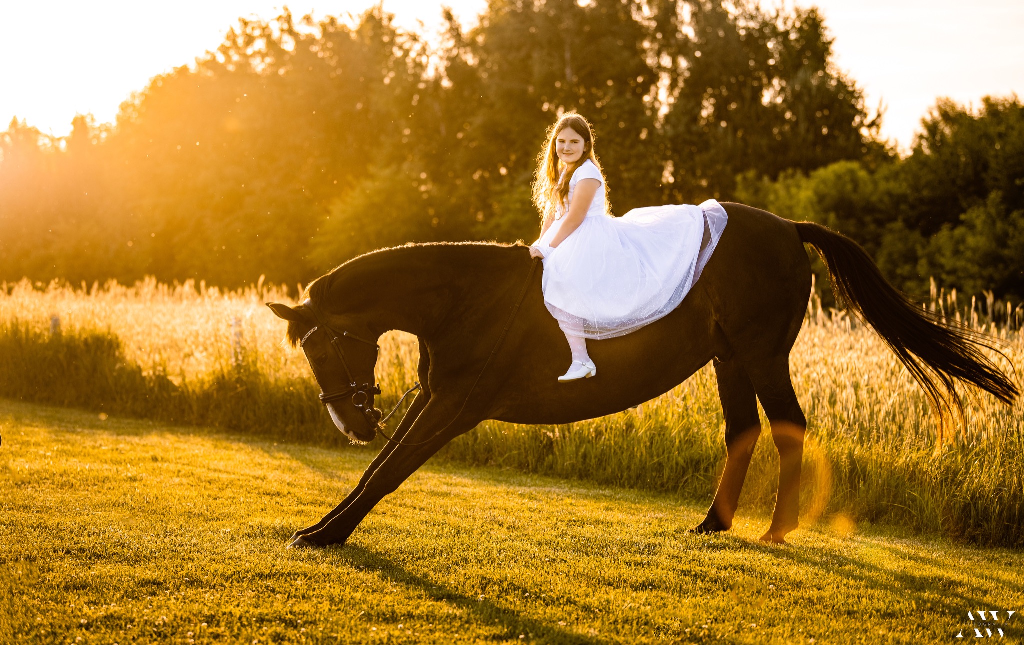 Dziewczynka w białej sukience siedzi na brązowym koniu na tle łąki w promieniach zachodzącego słońca.