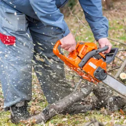 Mężczyzna w kombinezonie przecina gałąź piłą łańcuchową, w powietrzu unoszą się wióry, na ziemi leżą pocięte fragmenty drewna.