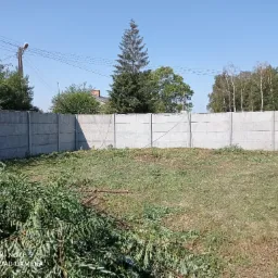 Teren po przycince drzew i krzewów, z gałęziami na trawie, ogrodzony betonowym płotem w słoneczny dzień.