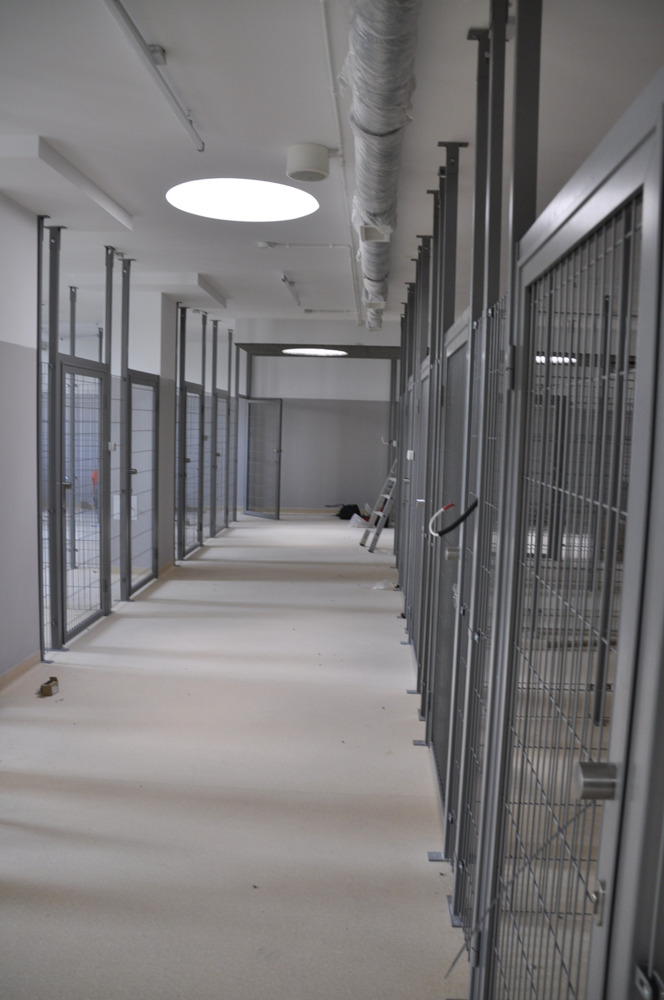 Korytarz z rzędami metalowych boksów z kratami, prawdopodobnie dla zwierząt, z widoczną drabiną w tle, po remoncie, z zamontowanym oświetleniem sufitowym.