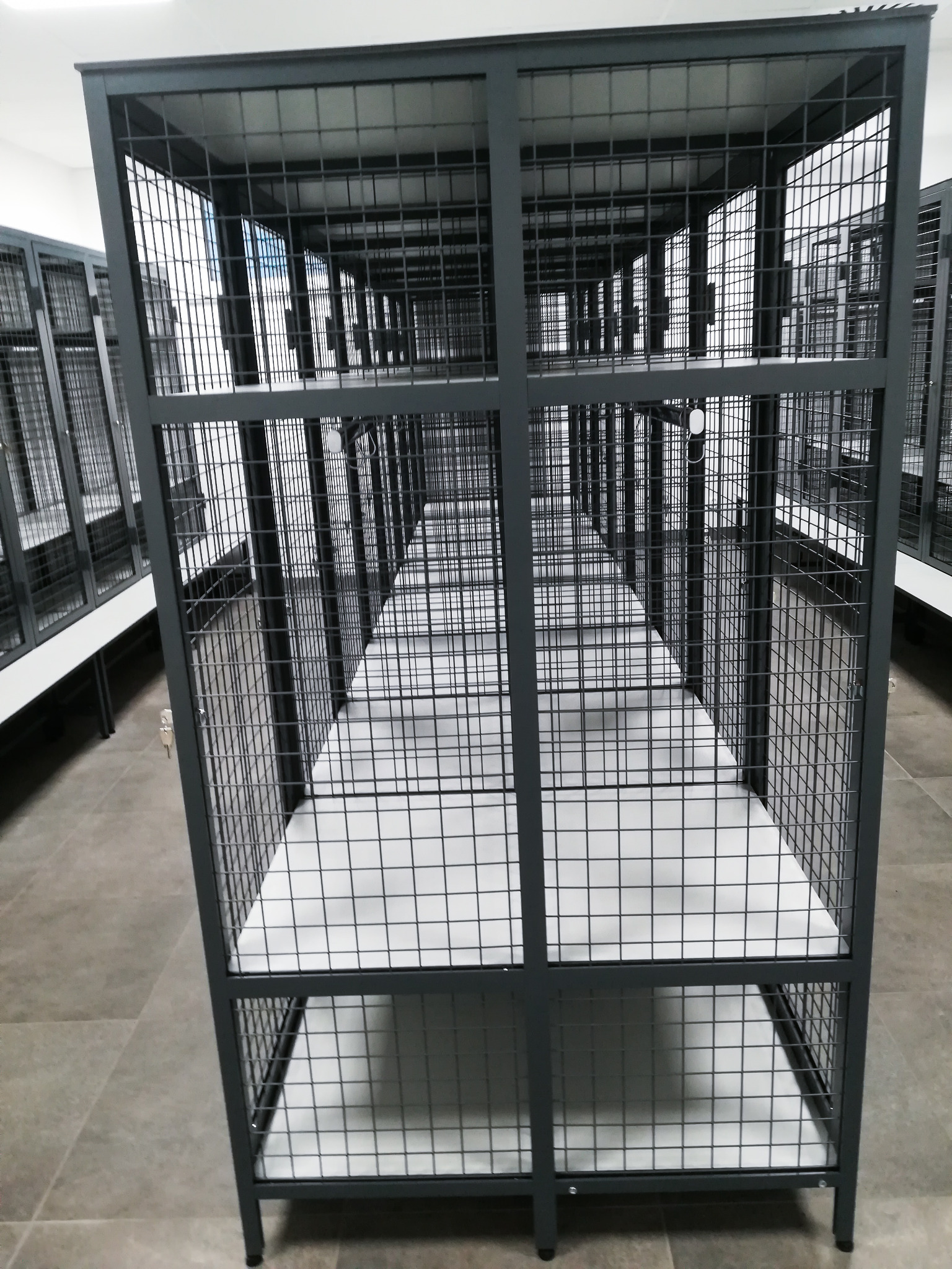 Rząd metalowych szafek skrytkowych z siatki, zamykanych na klucz, ustawionych w biurze.