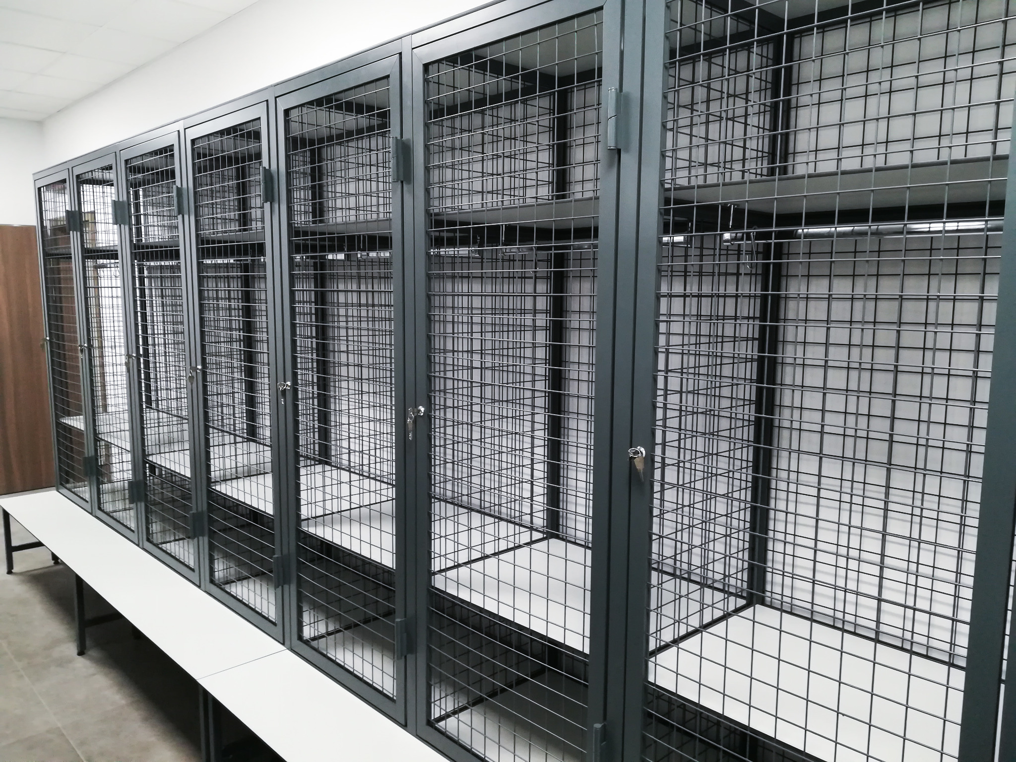 Rząd metalowych szafek pracowniczych z siatki w szarym kolorze, umieszczonych nad białą ławką w jasnym pomieszczeniu biurowym.