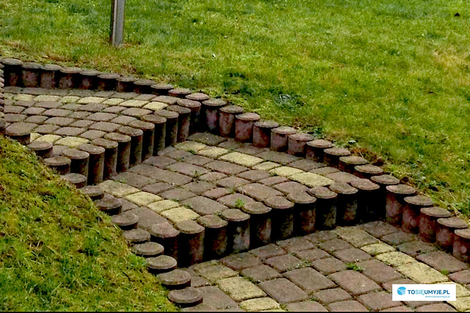 Ścieżka z kostki brukowej w ogrodzie, obrzeża z okrąglaków, trawa po bokach, widok z góry.