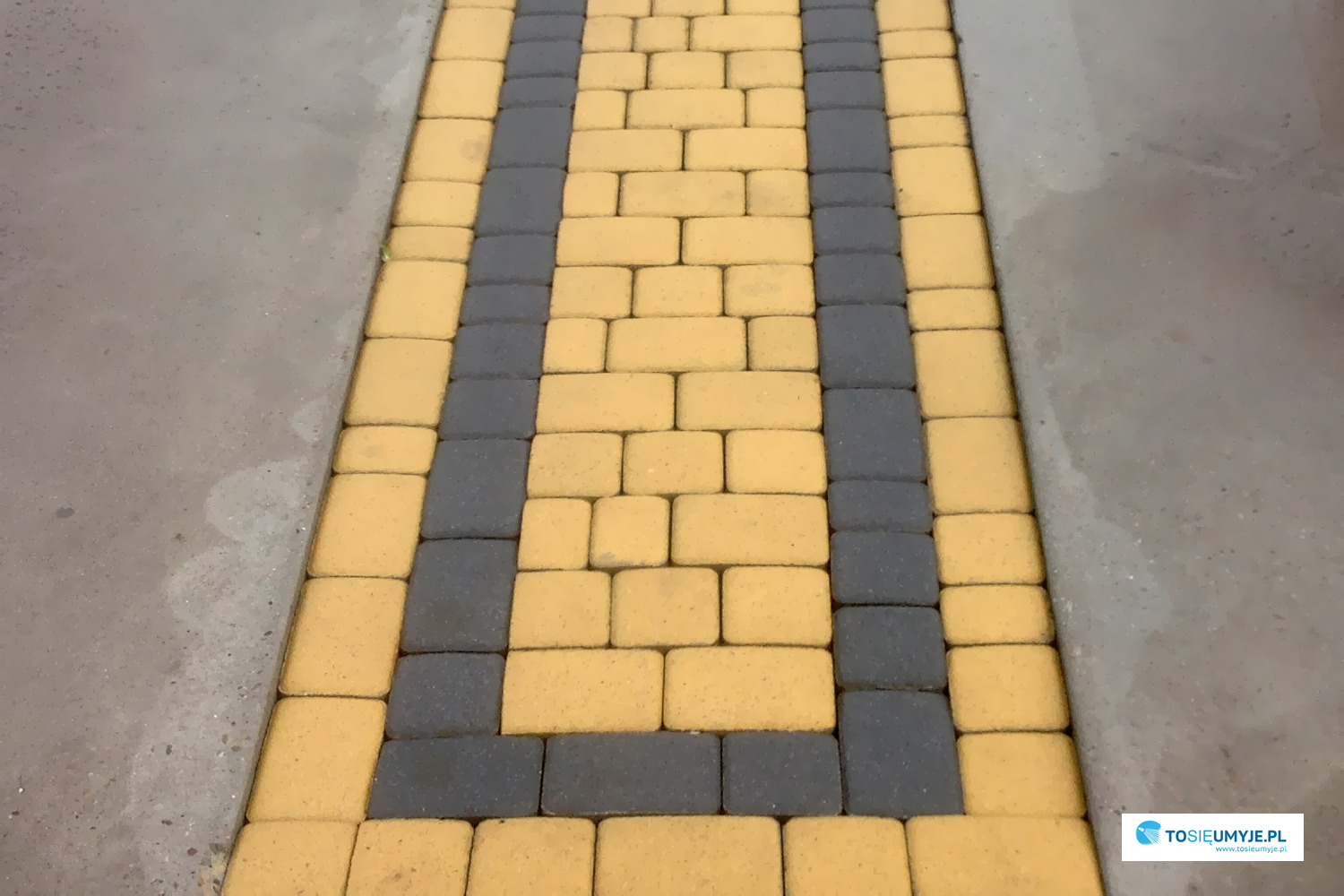 Ułożona kostka brukowa w kolorach żółtym i grafitowym, tworząca wzór na ścieżce, widoczne ślady wilgoci na powierzchni kostki i obok niej.