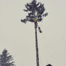 FRAXINUS wycinka i pielęgnacja drzew - Najwyższej Klasy Usługi Budowlane Radzyń Podlaski