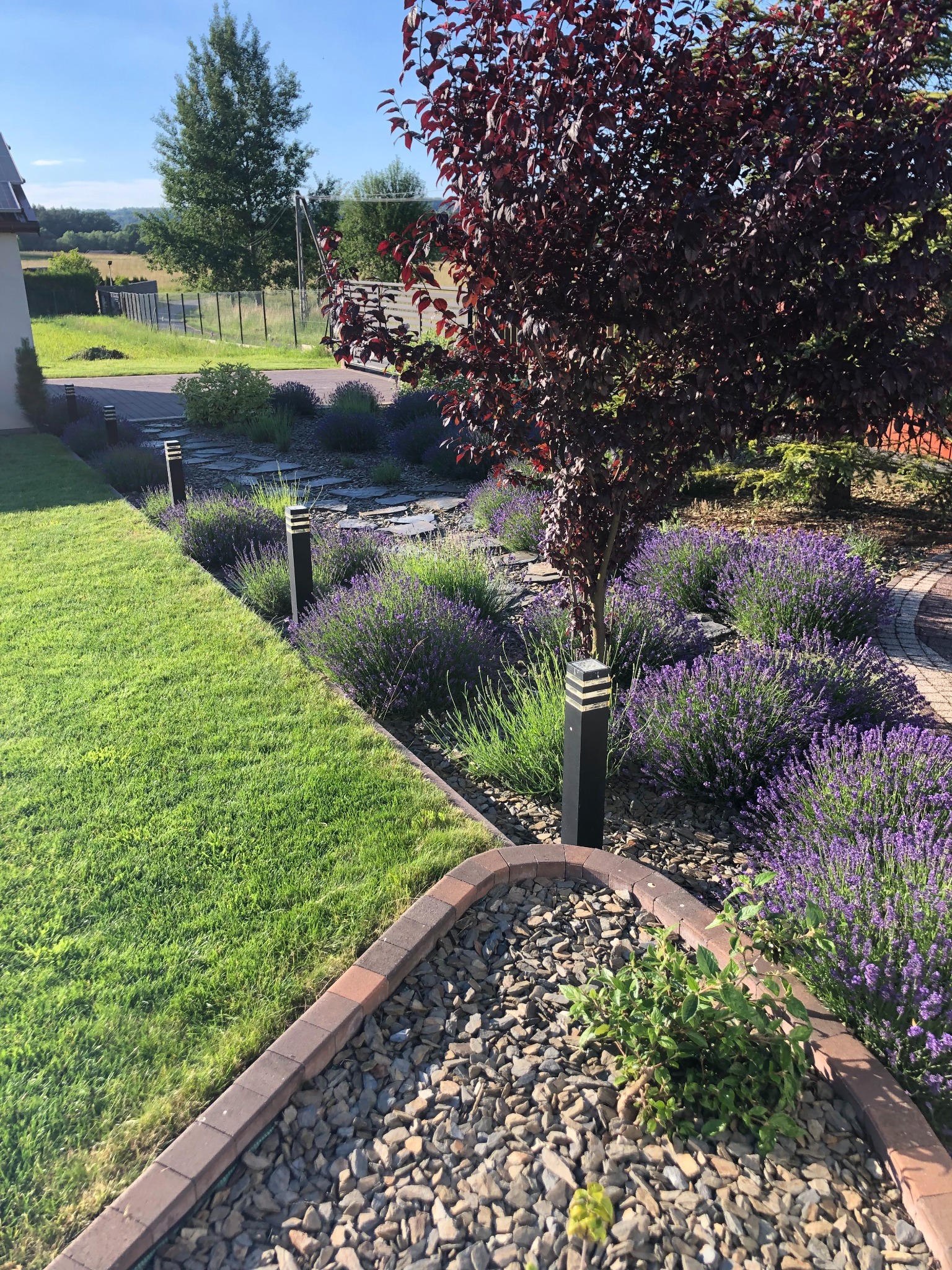 Ogród z kwitnącą lawendą, drzewem o purpurowych liściach i ścieżką z kamieni, oświetlony lampami ogrodowymi, obrzeża z kostki brukowej.