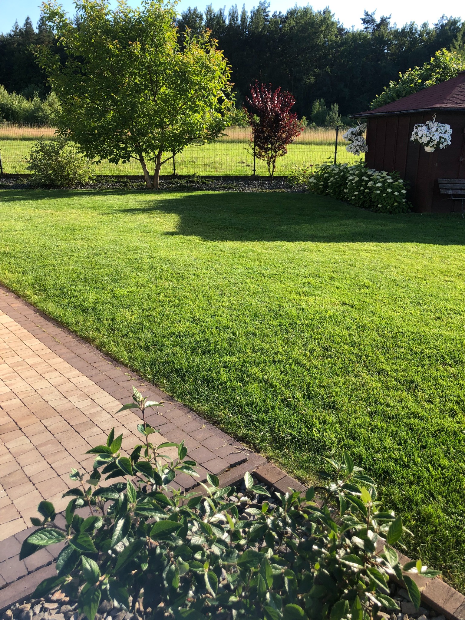 Zadbany trawnik z kostką brukową na obrzeżach, widok na ogród z drzewami i altanką z kwiatami.